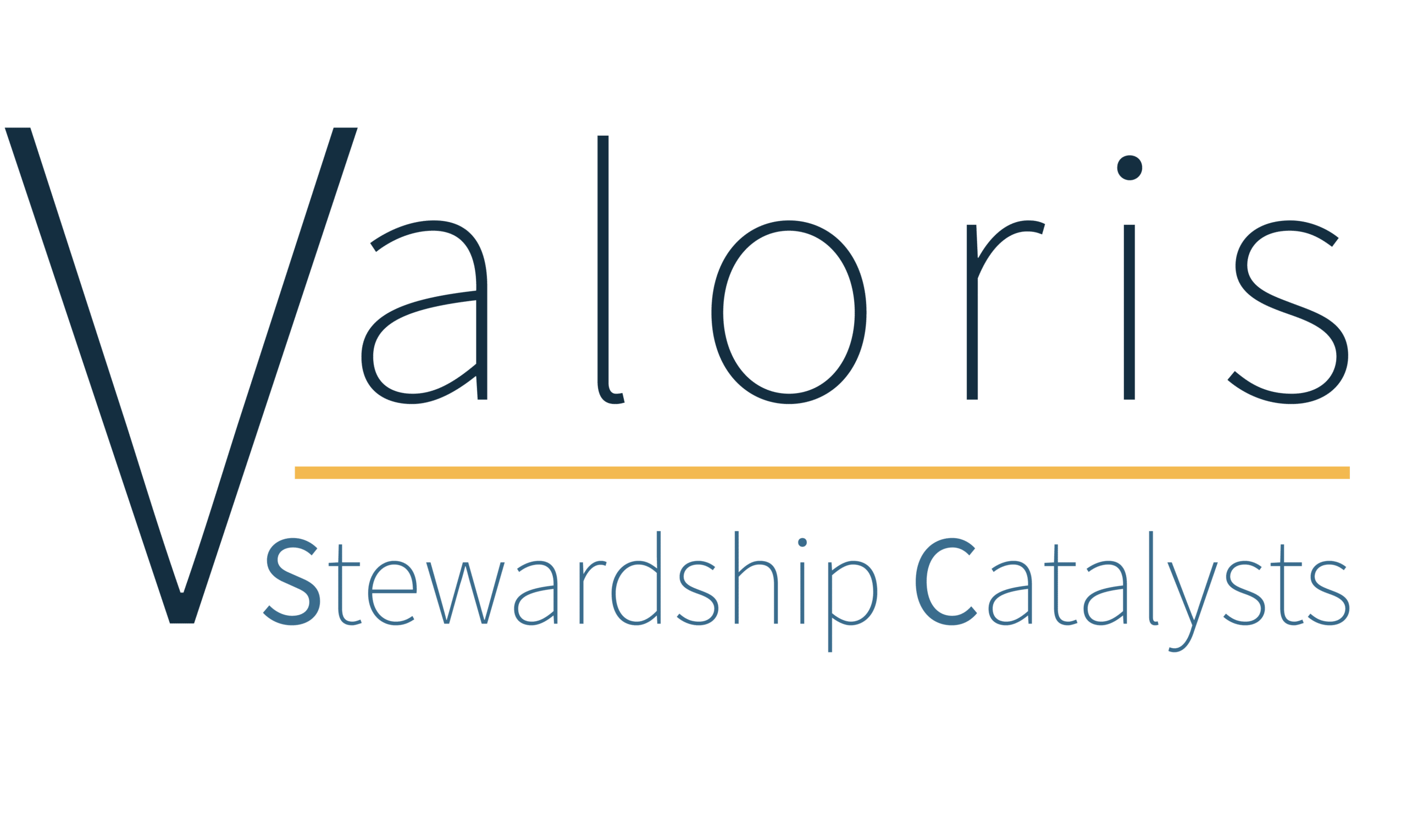 Valoris Stewardship Catalysts